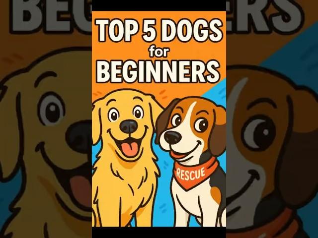 Top 5 Dogs for New Owners — But Here’s the Catch