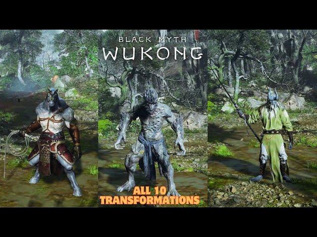 Black Myth Wukong all transformations so Far