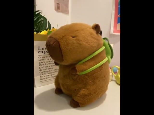 卡皮巴拉玩偶#可爱 #玩偶 #沙雕 #卡皮巴拉#capybara