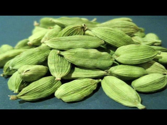 خواص درمانی و بی نظیر دانه‌ی هل