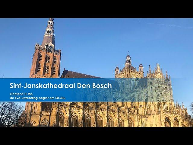 Sint-Janskathedraal Den Bosch 5 maart 2025,  ASWOENSDAG H. Mis 8.30u