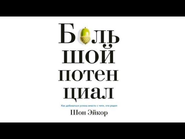 Большой потенциал | Шон Эйкор (аудиокнига)