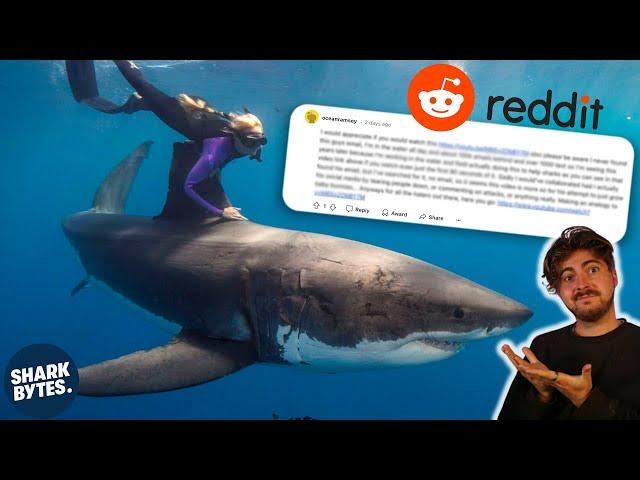 Did Ocean Ramsey REALLY Call Me OUT on Reddit?