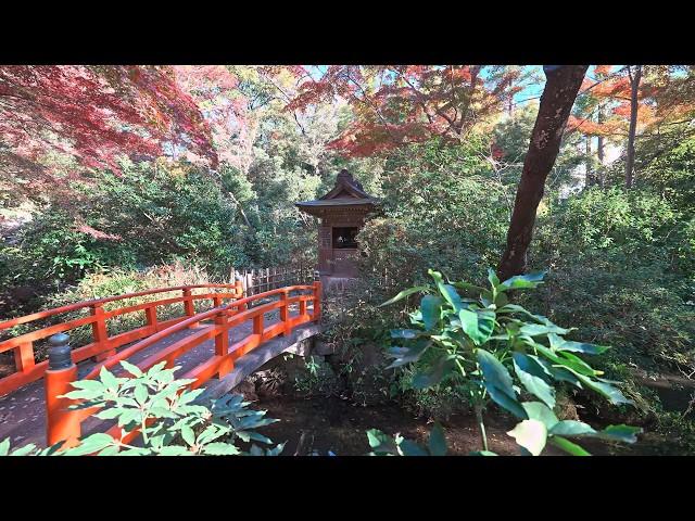 Tokyo Todoroki walk - quiet district with natural park・4K HDR