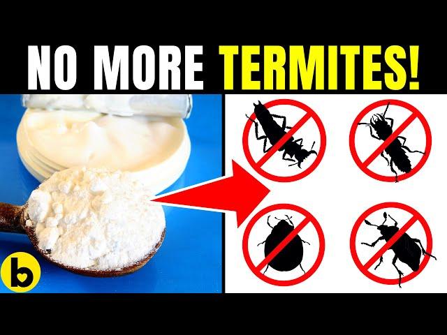 6 Super-Effective Ways To Get Rid Of Termite Infestation