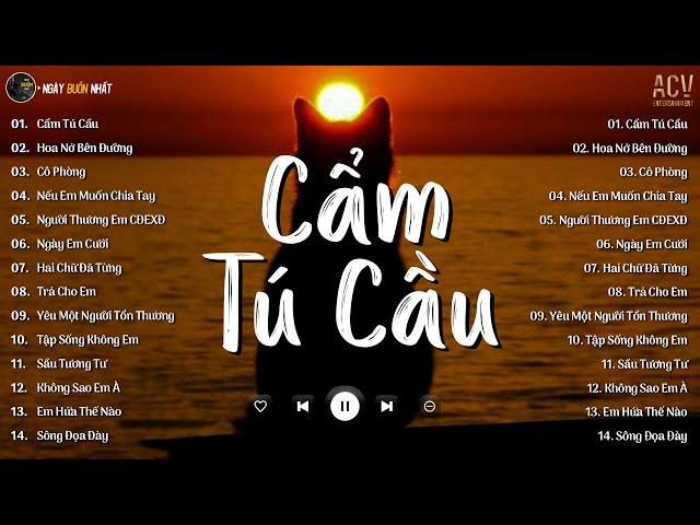 Cẩm Tú Cầu - Chờ Người Từ Lúc Nắng Dần Buồn [ Bản Hot TikTok ] | Nhạc Trẻ Ballad Hay Nhất Hiện Nay