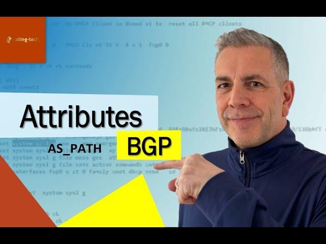 The best AS PATH Attribute example
