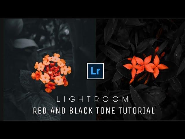 Lightroom Dark and red Tone Tutorial | Lightroom Dark moody editing | Lightroom photo Edit Tutorial