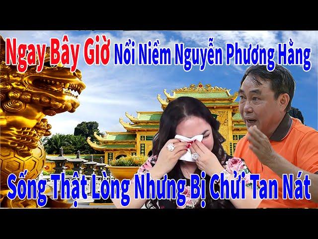 Ngay Bây Giờ - Nổi Niềm Nguyễn Phương Hằng #nguyenphuonghang #huynhuydung