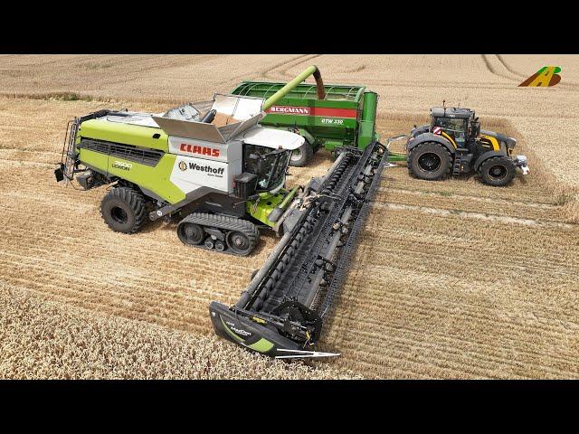 Weizenernte 2022 Getreideernte Mähdrescher CLAAS Lexion Traktor Fendt Lohnunternehmen Landwirtschaft