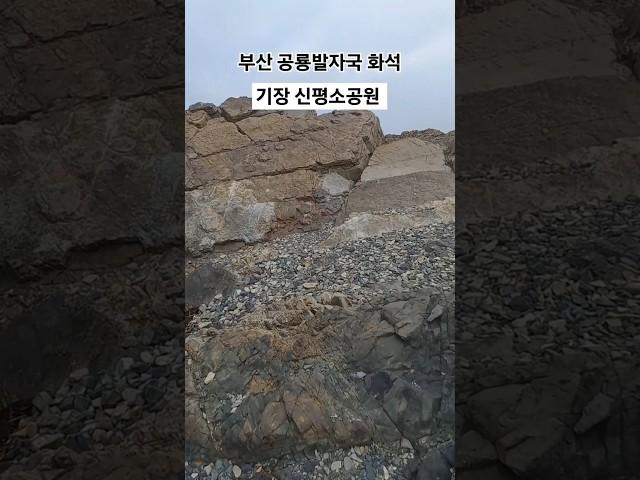 부산 기장에 위치한 신평소공원에서 공룡발자국 찾아보기 #여행 #국내여행 #travel #부산 #부산기장 #부산여행  #기장신평소공원 #신평소공원