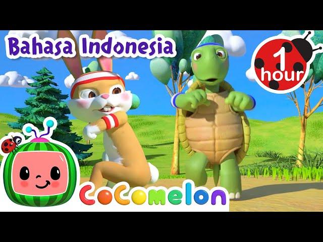 Lomba Lari Kelinci dan Kura-kura | CoComelon Bahasa Indonesia - Lagu Anak Anak | Nursery Rhymes