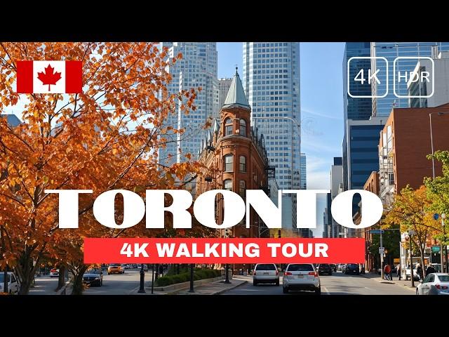 [4K] Toronto Autumn Walking Tour  Enjoy Canada's Fall Foliage on a Magical Afternoon Walk 