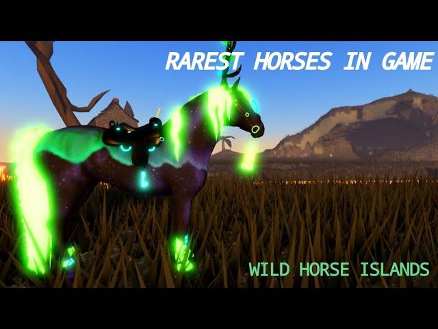 The Rarest Horses That You May Have Never Heard Of! [WHI / WILDHORSEISLANDS]