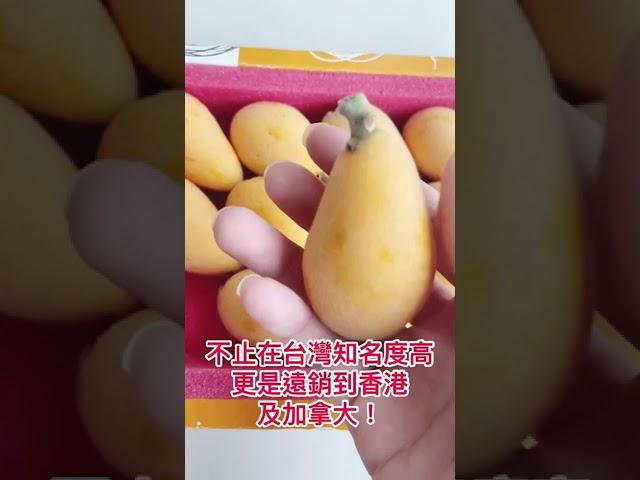 【旬果屋】台灣山豬枇杷開箱