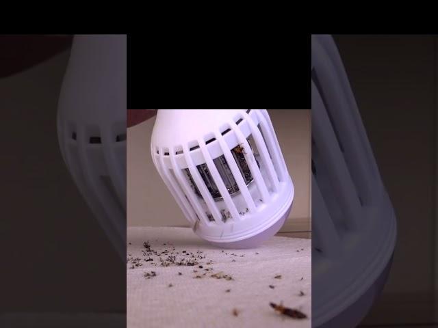 Bug Zapper Light Bulb