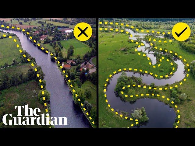 Why rivers shouldn't look like this | It's Complicated