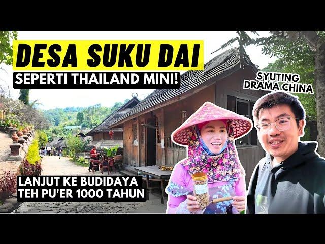 DESA SUKU DAI  Di Pedalaman YUNNAN CHINA! Ada Pohon TEH RAKSASA Ratusan Tahun?