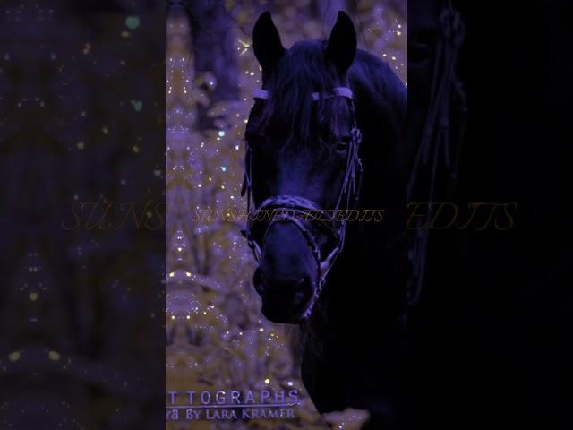 Beautiful Black Horse edit #shorts #capcut #universal #warnerbros #viral