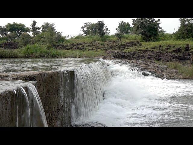 Pochera Waterfalls Adilabad, Telangana