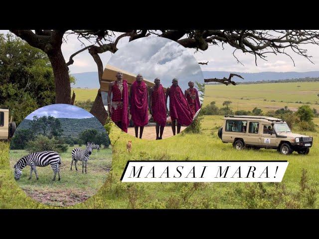 Day 1: VISITING MAASAI MARA! Tent Tour!