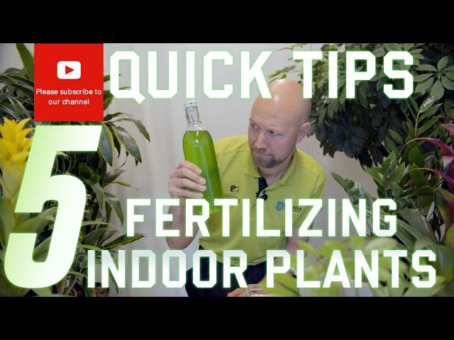 5 quick tips Fertilizing your indoor plants