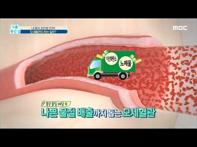 [HEALTHY] My body's front-line truck! What does the capillaries do?, 기분 좋은 날 20200812