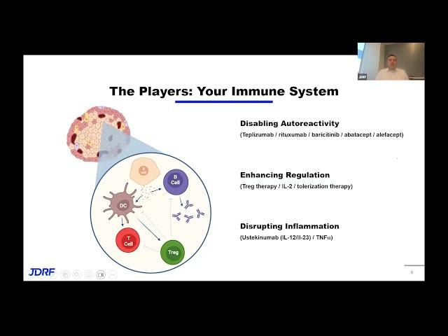 Disease-Modifying Therapies Part 1 | JDRF