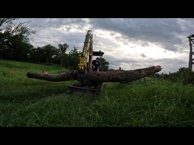 Moving some sticks to the burn pit with the Yanmar & Running