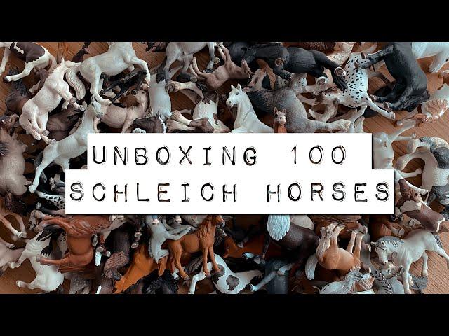 Unboxing 100 SCHLEICH HORSES!!!