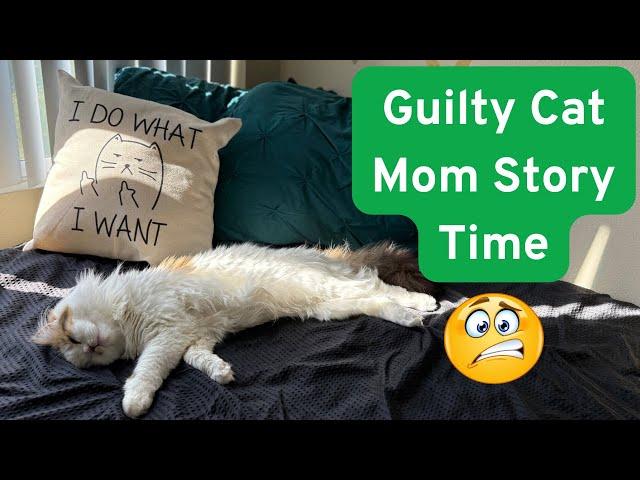 Guilty Cat Mom Story Time, Play Edition | Not Mad Just Moody