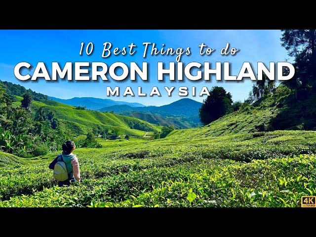 10 Best Things to do in Cameron Highlands Malaysia