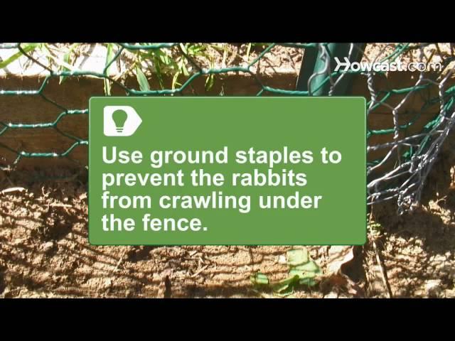 How to Install a Rabbit-Proof Fence