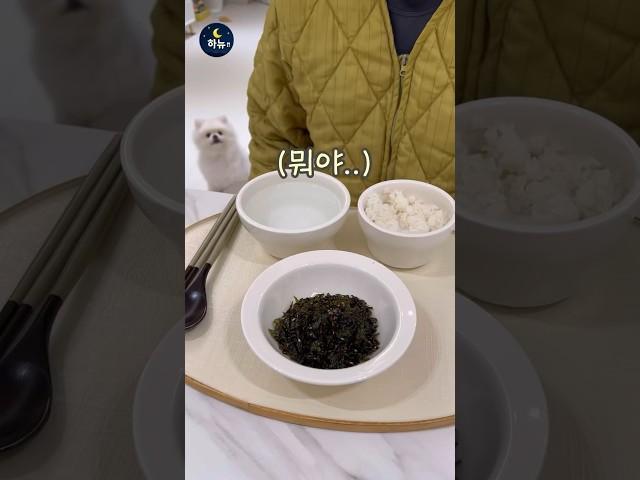 잘못했으면 벌을 받아야지