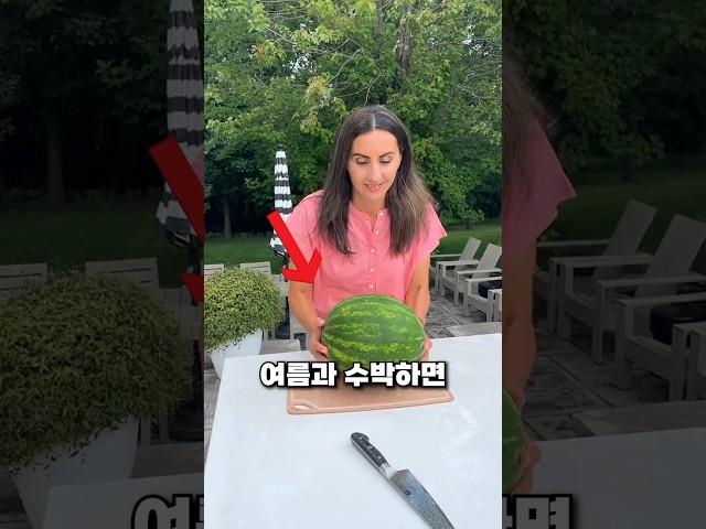 여름에 화채 말고 이거 먹어보세요