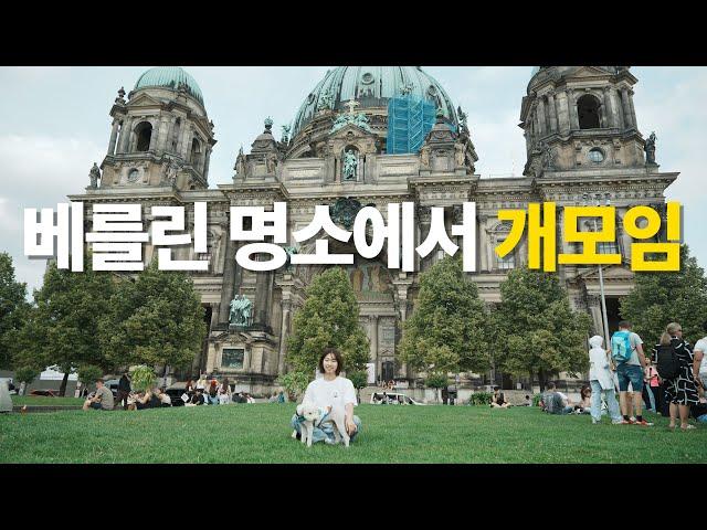 여행 브이로그 | 베를린 시내에서 강아지 목줄을 풀어도 될까? (feat. 빌헬름교회 베를린돔 박물관섬) |  베를린 한달살기 4