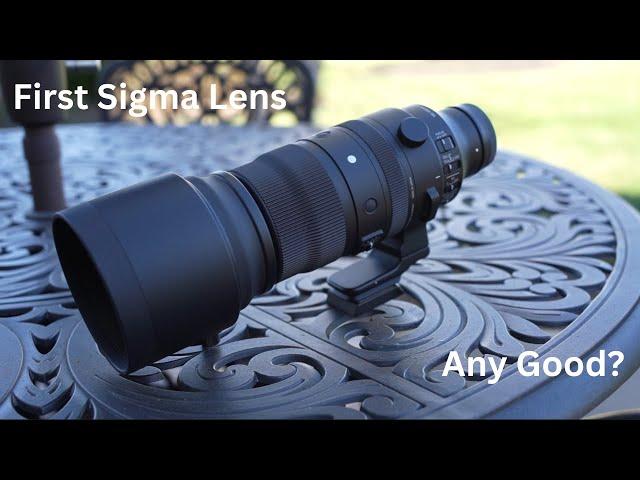 Sigma 150-600mm First Impressions