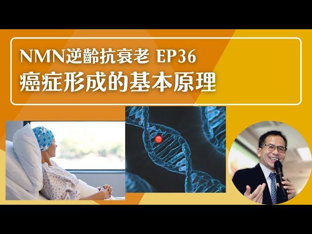 NMN 逆齡抗衰老系列 Ep36：癌症形成的基本原理 | 逆齡抗衰老⏪ | Dr. SAM