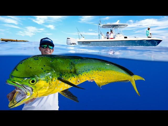 FILLED Dream Boat with PRIZED Deep Sea Fish! Catch Clean Cook (Mahi Mahi)