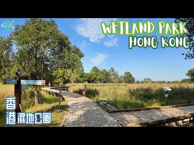 Hong Kong’s Massive 110,000 ft² Wetland Park: Nature’s Most Stunning Haven! | 4K WALKING TOUR