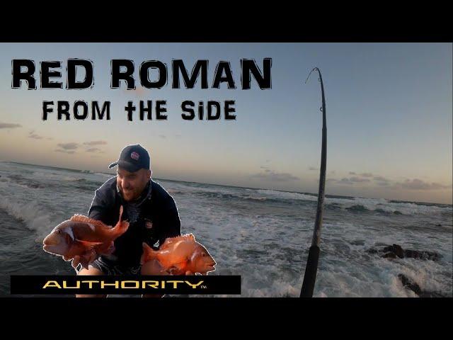 Reef Fishing Masterclass: Victor Hogan’s Secrets to Catching Red Roman with an Occiblob!