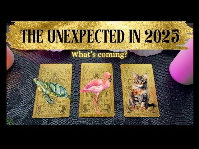  Pick A Card - The UNEXPECTED 2025