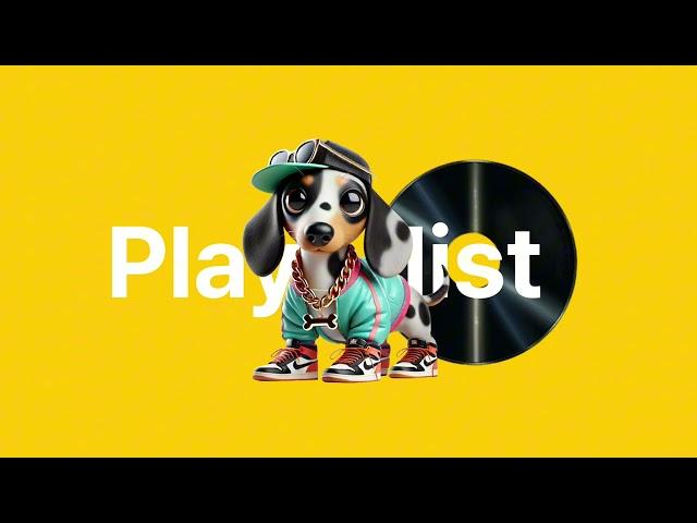 [주인장이 들으려고 만든 Playlist]  한강 노을 감성, 차분하게 듣는 여유로운 리듬 | 바오의 감각적인 플레이리스트 