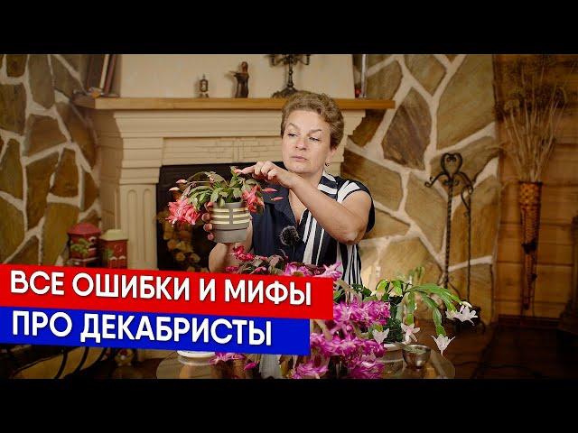 Все ошибки и мифы про декабристы