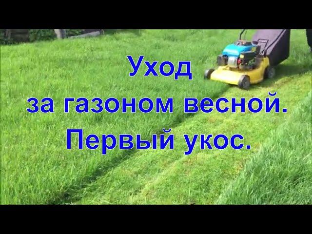 Как ухаживать за газоном весной. Первый укос газона. Опоздали.