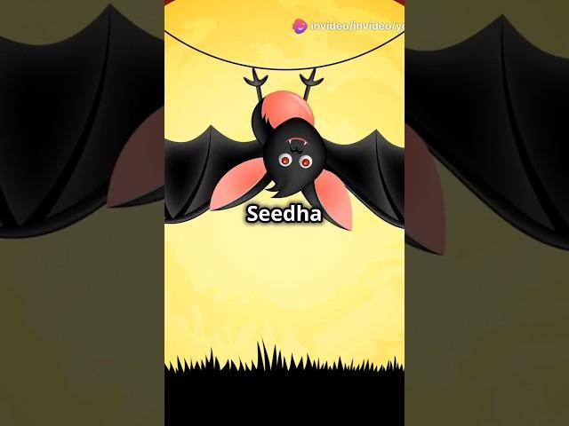 "Why Do Bats Hang Upside Down? | Fun Animal Fact!"