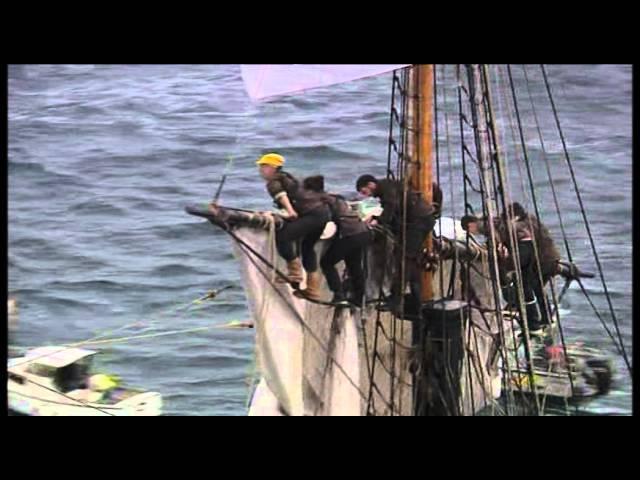 L'arrivée de l'Hermione, frégate de La Fayette, en rade de Brest