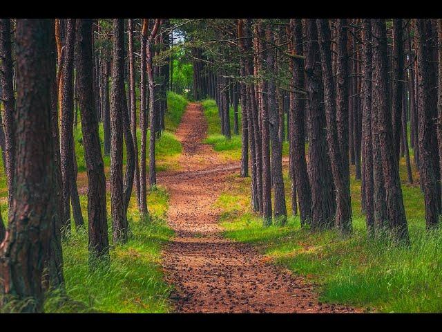 UNESCO The Curonian Spit. Countryside.lt