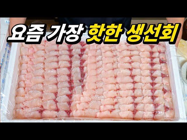 How to Buy and Eat the Best Sashimi in Autumn in Korea (Japanese Spanish mackerel part)