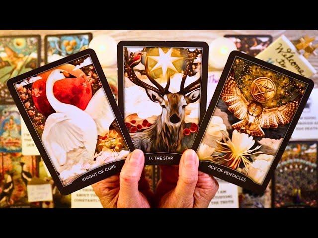 THE APOLOGY (& MORE!!) YOU'VE BEEN WAITING FOR!!! ️ LOVE TAROT